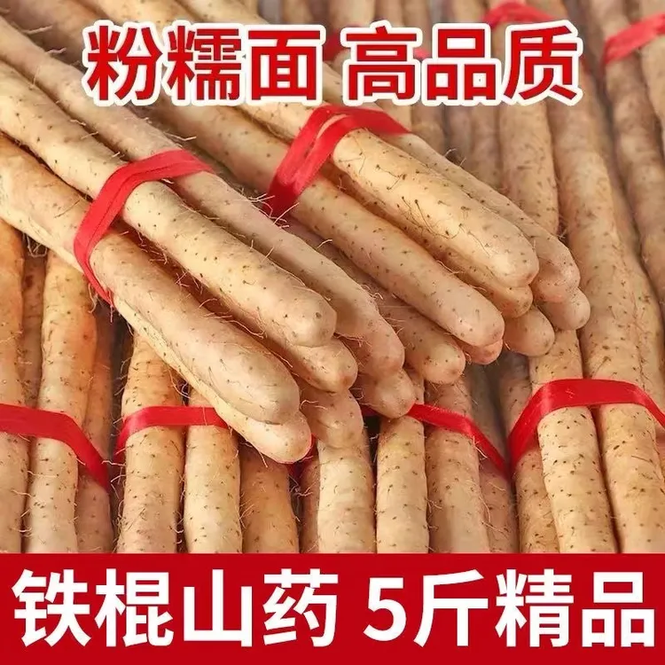河北小白嘴铁棍淮山药粉糯香甜垆土种植新鲜5斤带土源头产地发货
