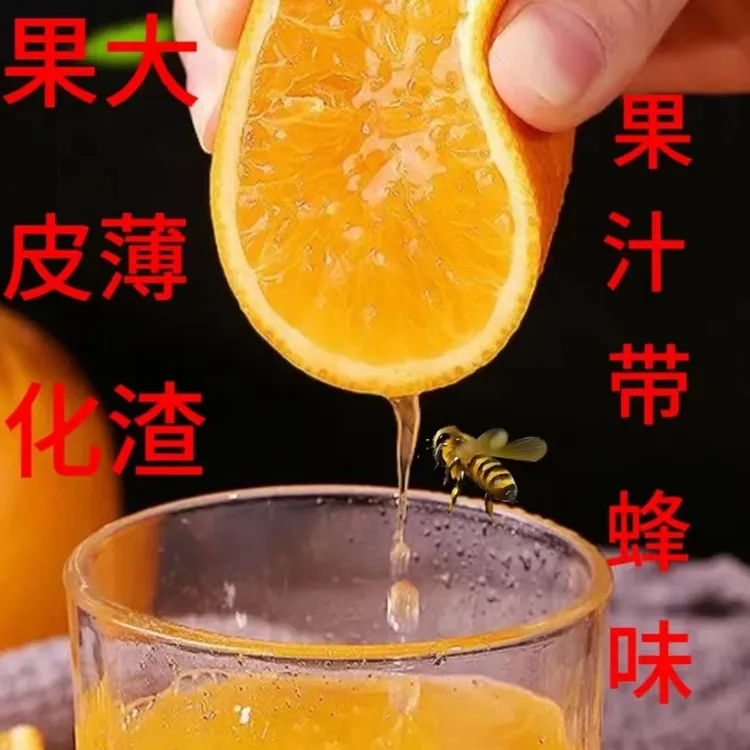 雷波脐橙新鲜应季水果产地直发精品礼盒装dj现摘现发脐橙果园直发