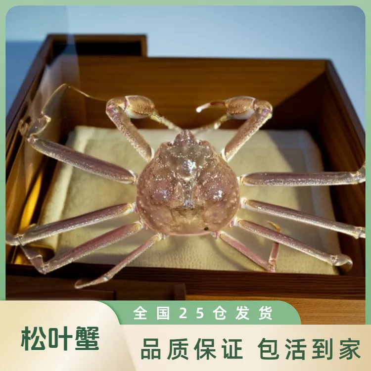 【鲜活】松叶蟹长脚蟹板蟹帝王蟹活鲜送到家海鲜自助餐蟹腿肉面包蟹