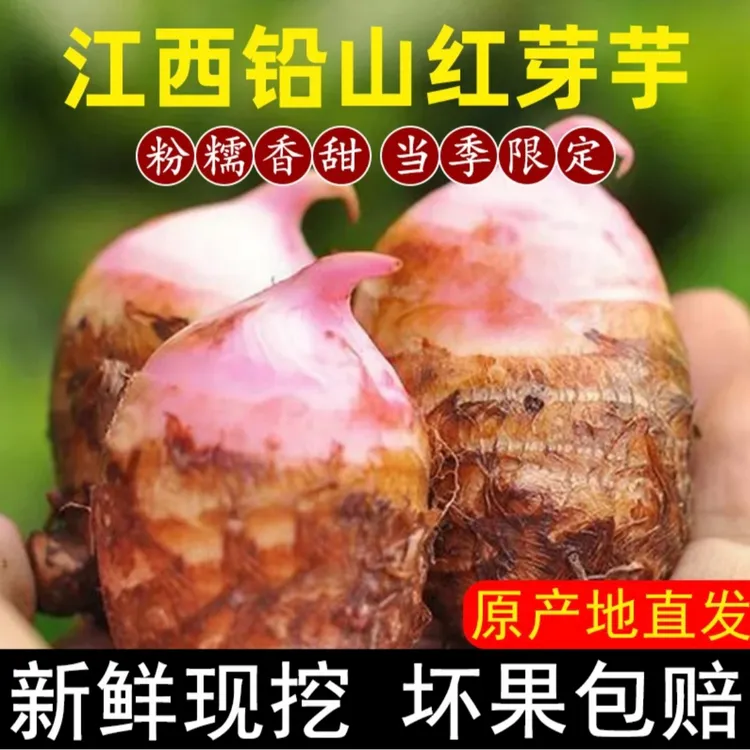 正宗精选铅山红芽芋子产地基地直发软糯香甜坏果烂果包赔3斤5斤装
