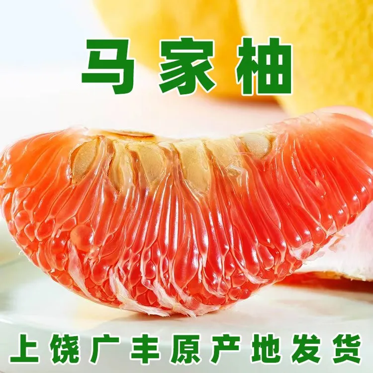 现摘现发 广丰马家柚  原产地广丰大南 精品果