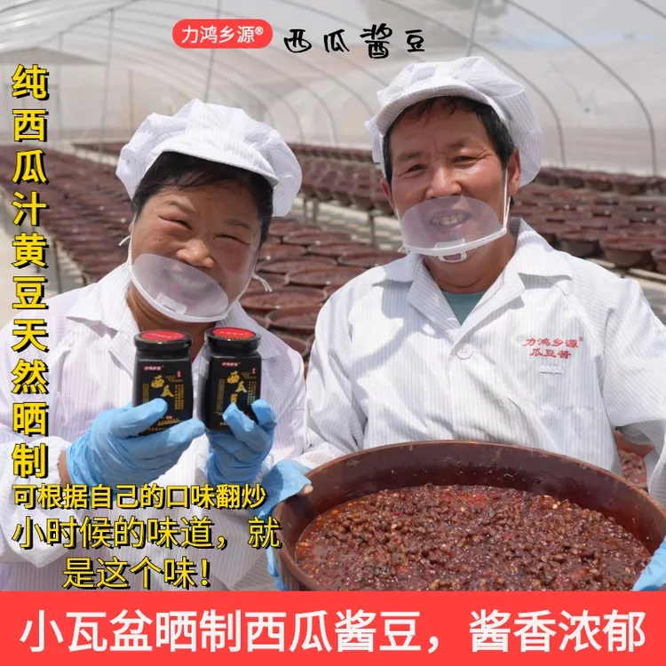  【大博奶奶专属】河南特产力鸿乡源天然晒制发酵西瓜酱豆