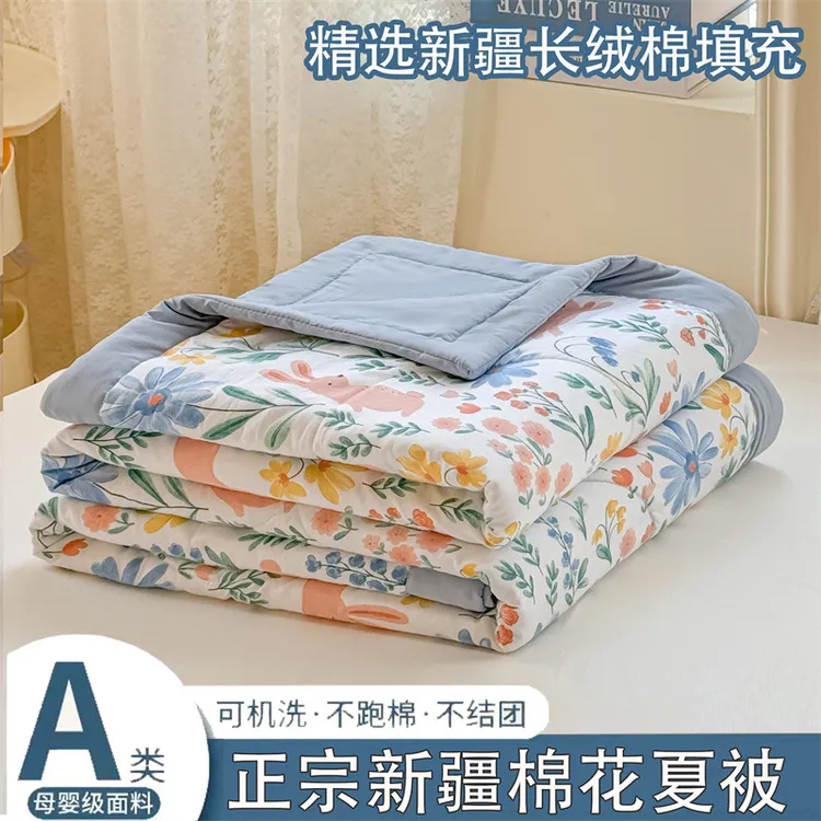 a类新疆棉棉花夏凉被空调被棉花被薄款夏被可水洗被礼品被子被芯~