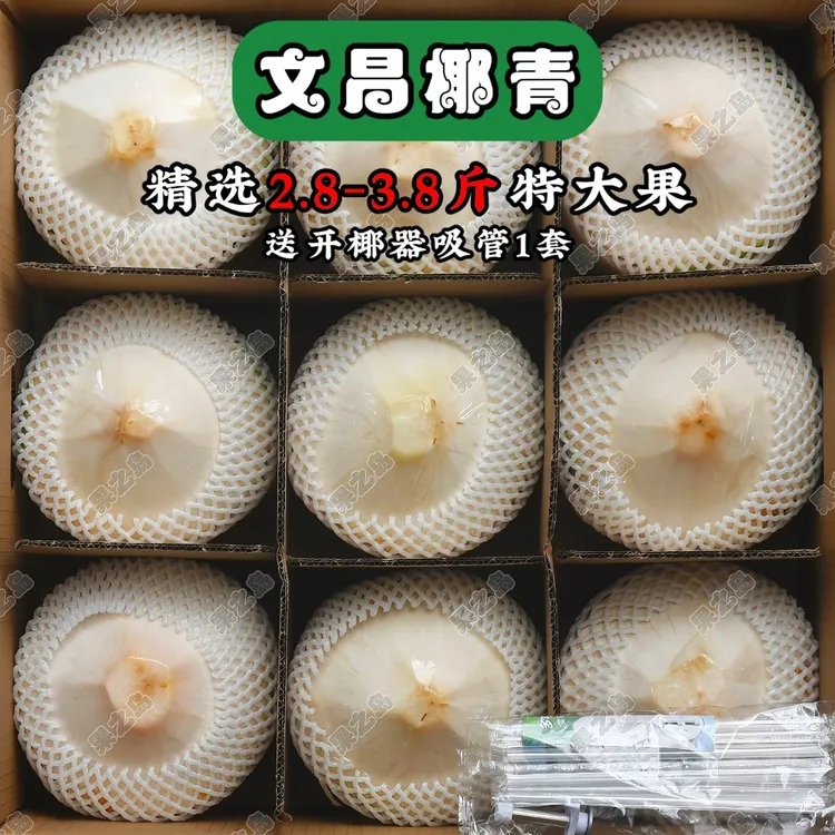 【店长精选】海南东郊A级特大果椰青新鲜采摘天然孕妇水果4/6/9个