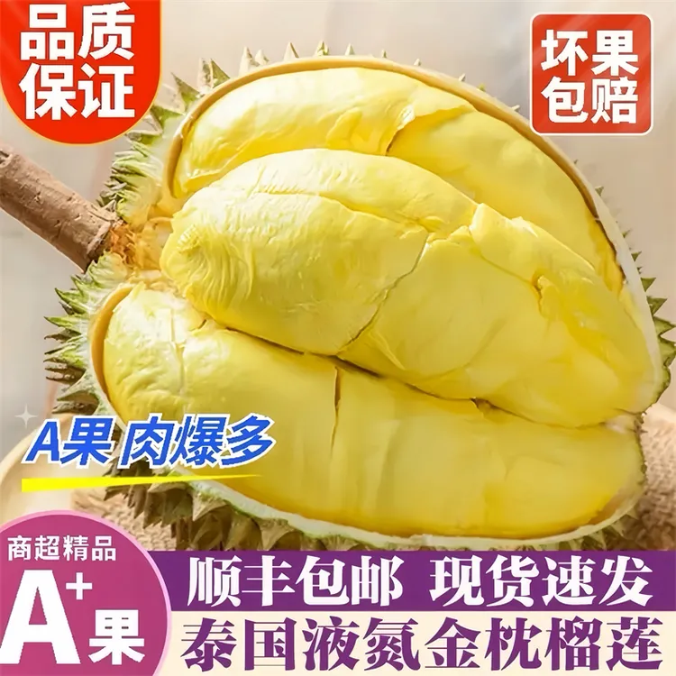 【现货】泰国进口金枕头榴莲软糯香甜液氮冷冻整个带壳一整k