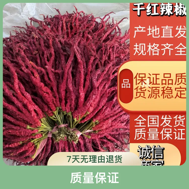 2025贵州毕节微辣特香烘干辣椒大方皱椒250克包邮