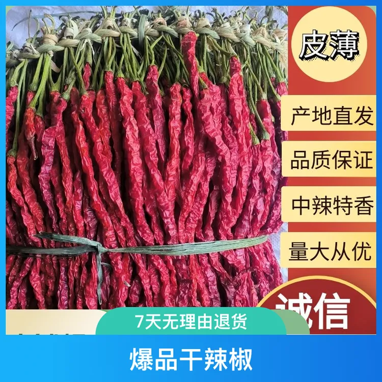 贵州毕节中辣特香大方晒干鸡爪辣溥皮干辣椒款式如图250克包邮