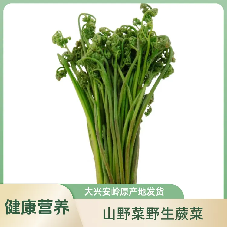 森林蕨菜速冻山野菜有盐食用健康美味大兴安岭原产地发货2500克
