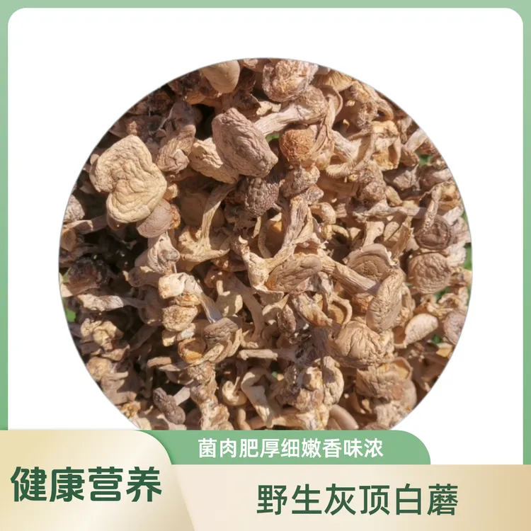 大兴安岭野生灰顶白蘑菌肉肥厚森林采摘自然晾晒干脱水蔬菜500克