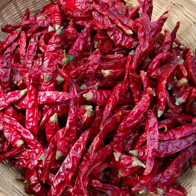 【香辣】魔鬼椒海椒朝天椒自然晾干炒菜 特辣特香中辣 精品干辣椒
