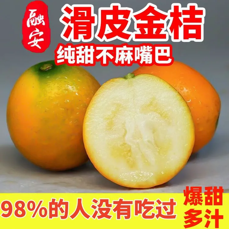 广西融安脆皮金桔当季水果新鲜采摘滑皮金桔小金橘纯甜不酸脆皮