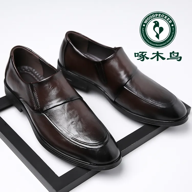正品啄木鸟皮鞋男款爆款2025新款商务正装真皮男士一脚蹬休闲男鞋