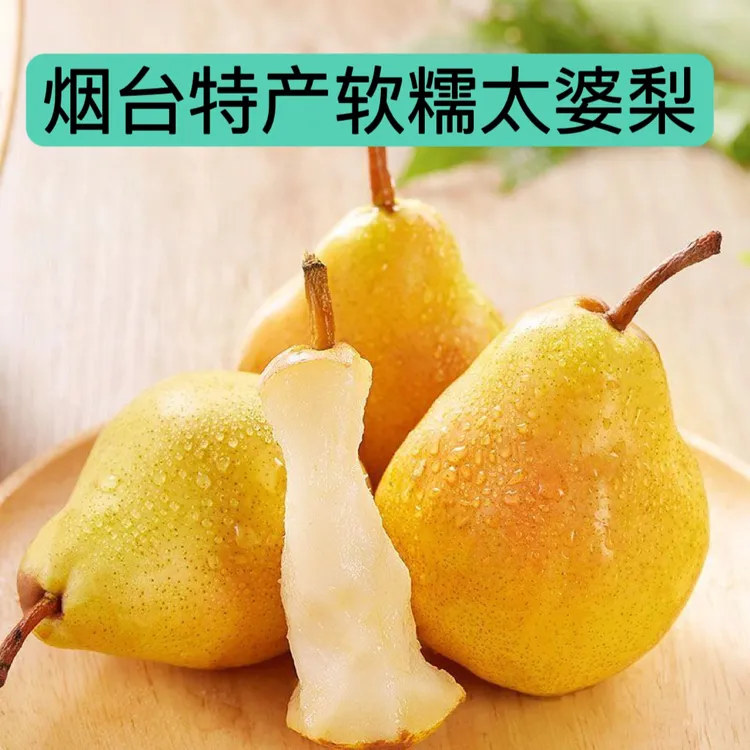 烟台特产太婆梨茄梨软糯香甜洋梨啤梨大头梨砀山冻梨净重3-9斤
