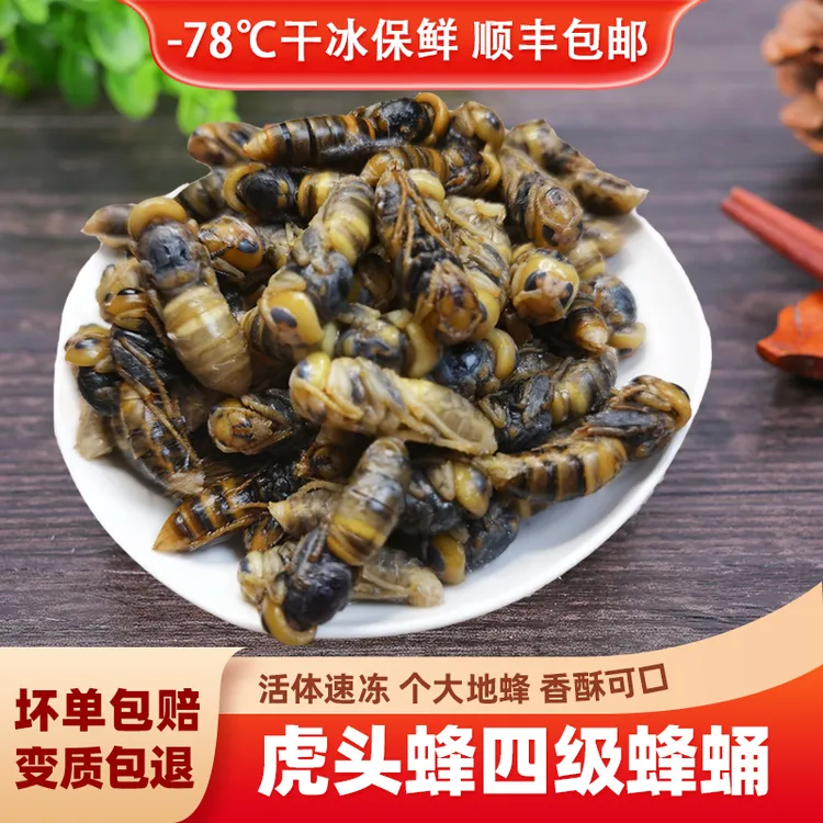 虎头蜂蛹金环虎头蜂蜂蛹新鲜冷冻食用精选马蜂蛹金环虎头蜂