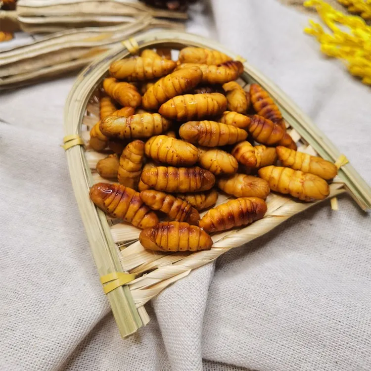 蚕蛹小蚕蛹山东金丝蛹桑蚕山东特产昆虫桑蚕蛹新鲜营养优品高蛋白