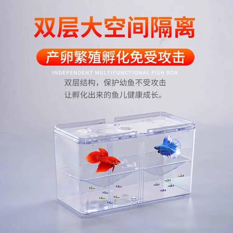 孔雀鱼玛丽斗鱼红箭繁殖盒孵化盒鱼缸小鱼苗幼鱼隔离盒母鱼孵化器