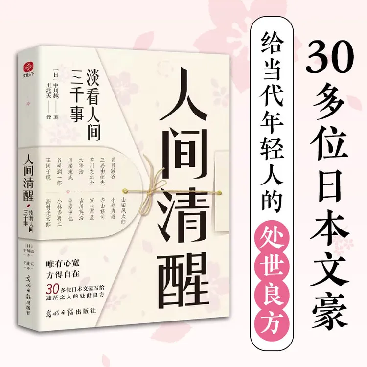人间清醒:淡看人间三千事 给当代年轻人的处世良方 经典