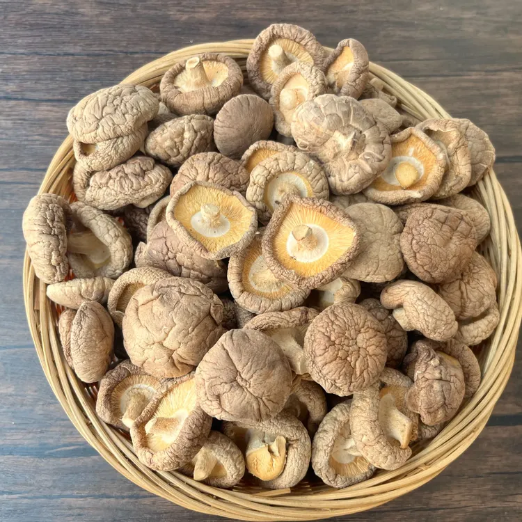 [任选两种大礼包]江西香菇/鸿升鹿茸菇/虫草花/针菜 (赠礼品袋）