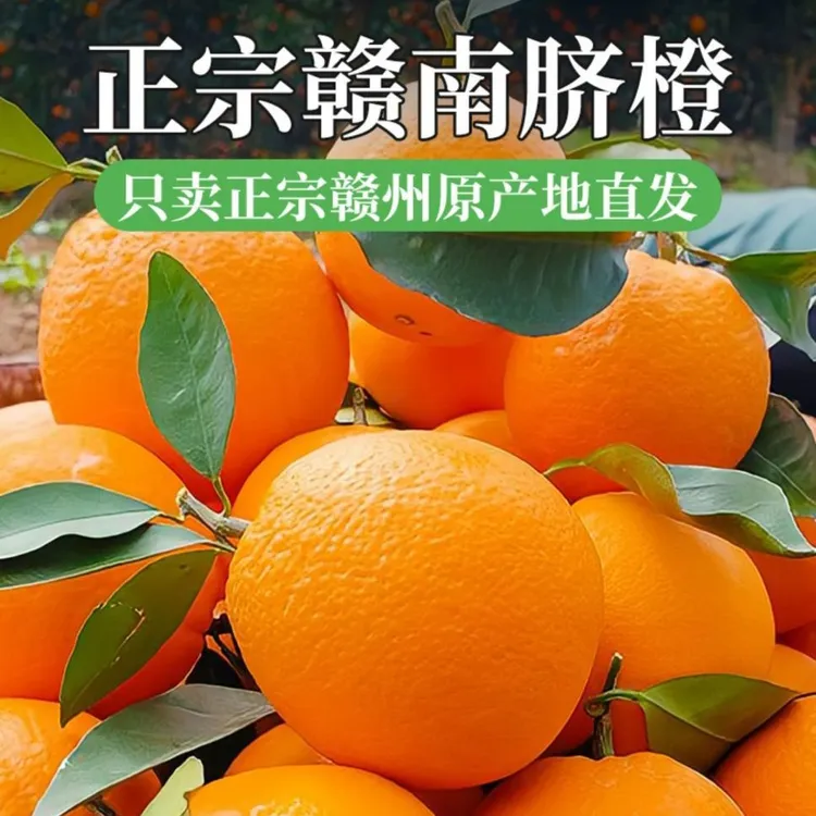 江西正宗赣南脐橙橙子新鲜现摘应季水果10斤精品脐橙包邮