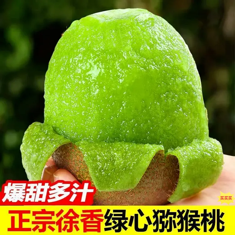 【放软食用】陕西徐香猕猴桃新鲜水果现摘现发绿心奇异果当季水果