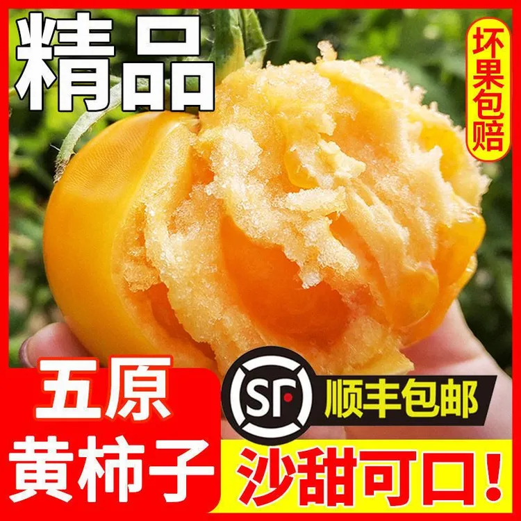 【精品顺丰】内蒙古五原黄柿子自然熟现摘黄色西红柿沙瓤黄番茄蔬菜