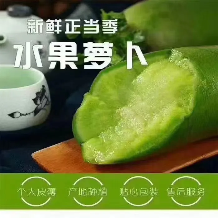 正宗老苏水果沙窝萝卜——5斤装