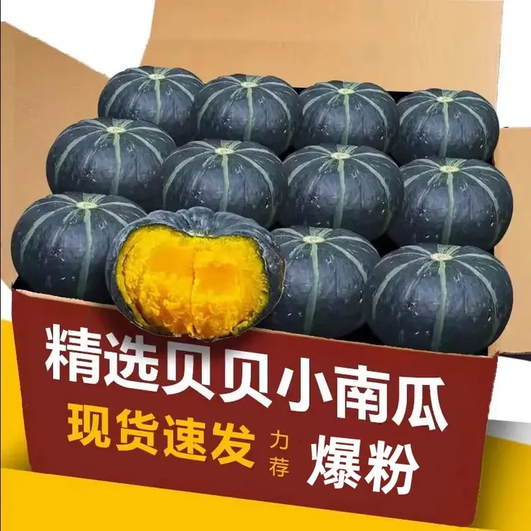 【超好吃】贝贝南瓜板栗味山东贝贝小南瓜粉糯香甜粗粮孕妇宝宝辅食