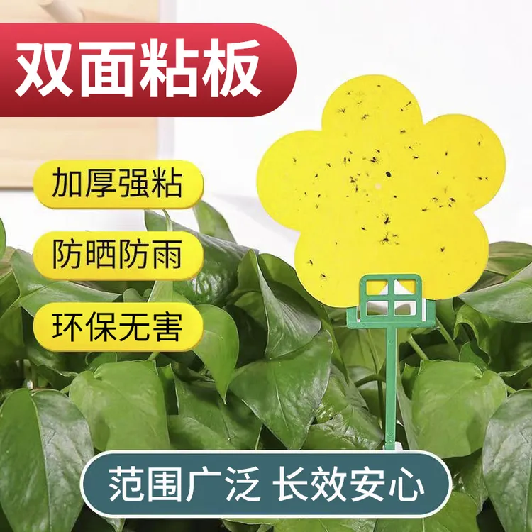 粘虫板黄板双面纸小诱虫板蓝小黑飞虫蓟马果蝇果园大棚家用沾黏贴