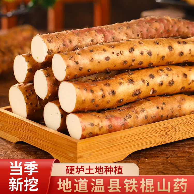 温县垆土铁棍山药河南焦作温县垆土铁棍山药怀山药新鲜山药产地发