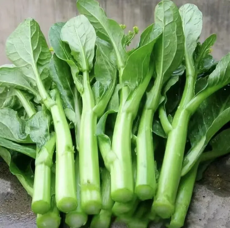 四季甜菜心/四九菜心种子盆栽地栽耐热高产蔬菜种子(拍2送1)商品图