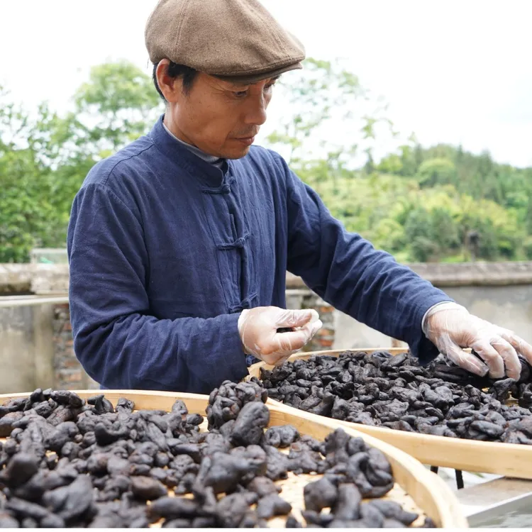 【九蒸九晒仙人粮】贵州老唐传统古法手工柴火蒸手工茶