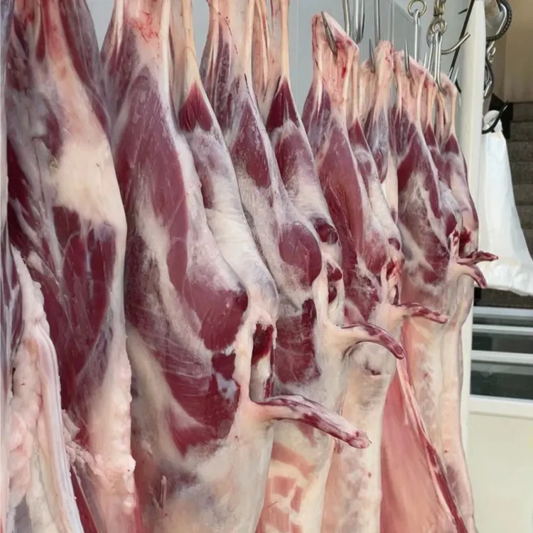 【整羊】内蒙古乌拉特草原牧区羊   整羊40斤