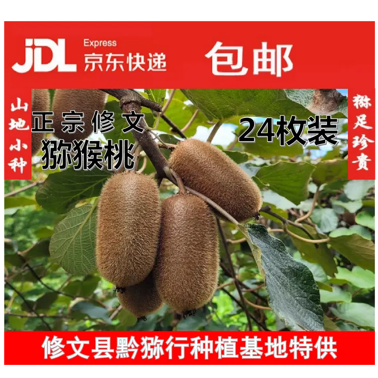 黔猕行&修文猕猴桃、奇异果（120克左右，24枚，精品礼盒装）