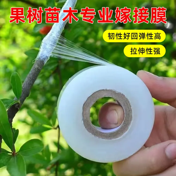 专业PE嫁接膜果树苗木专用膜缠绕膜自粘膜打包透明拉伸包扎薄膜