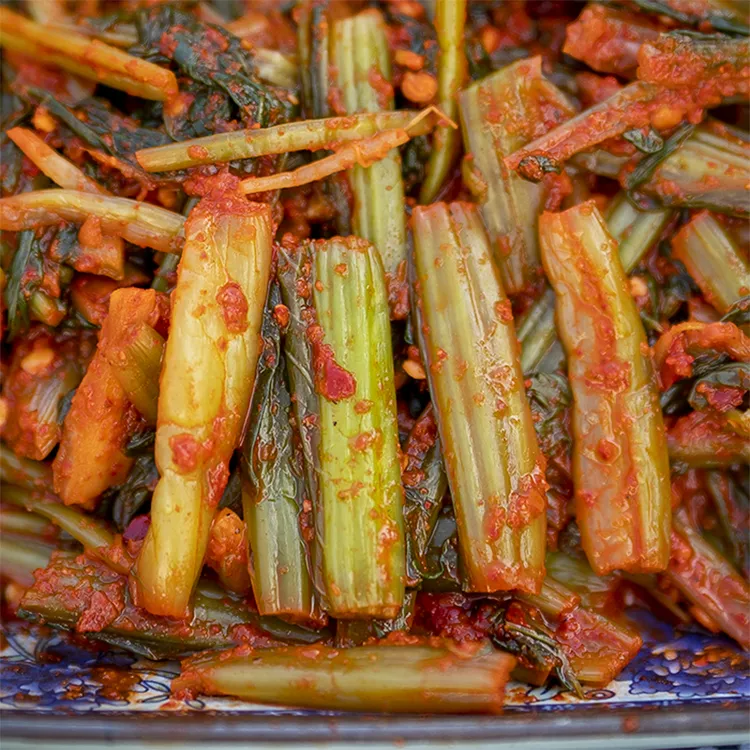 黄翠兰腊腌菜勐嘎酸辣下饭菜八宝咸菜云南德宏特产泡菜即食辣腌菜