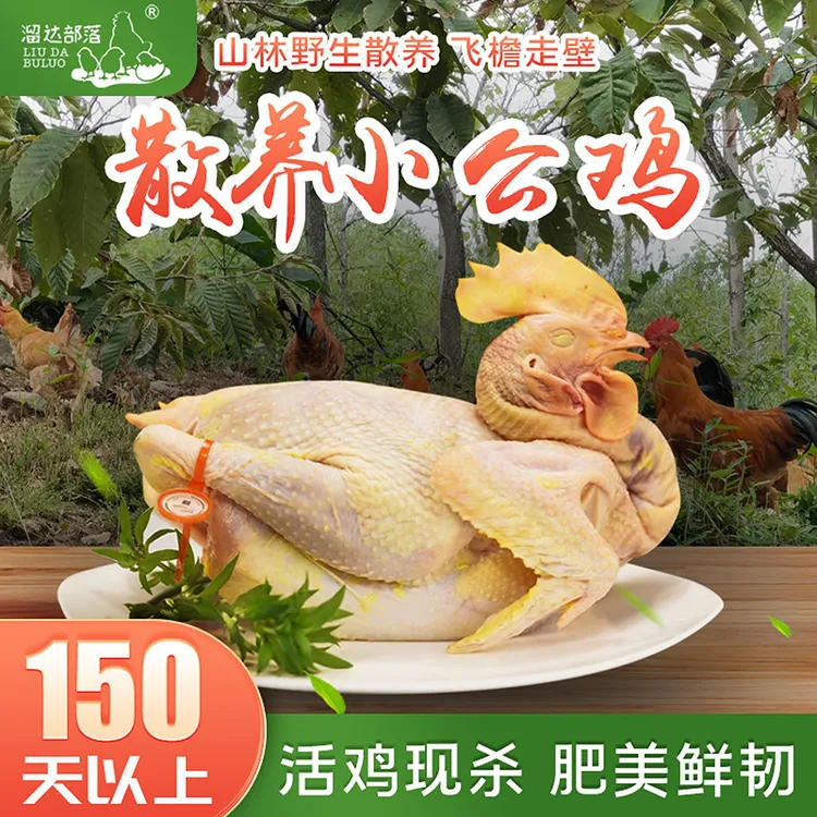 溜达部落（两只装）150天以上有机仔公鸡净重1千克以上