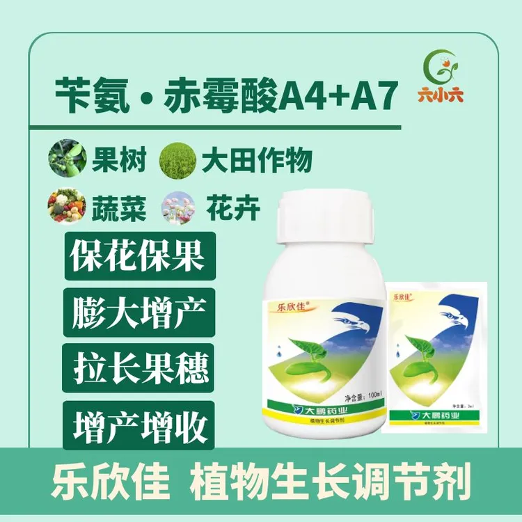 大鹏乐欣佳3.6%苄氨基嘌呤A4+A7赤霉酸920农药植物生长调节剂