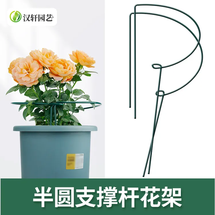 汉轩铁艺花架半圆固定花支架蟹爪兰植物支撑月季爬藤聚拢护叶架