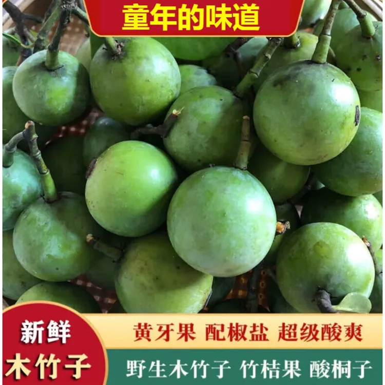 广西野生现摘新鲜木竹子酸桐子竹节子黄牙果山枇杷竹桔橘