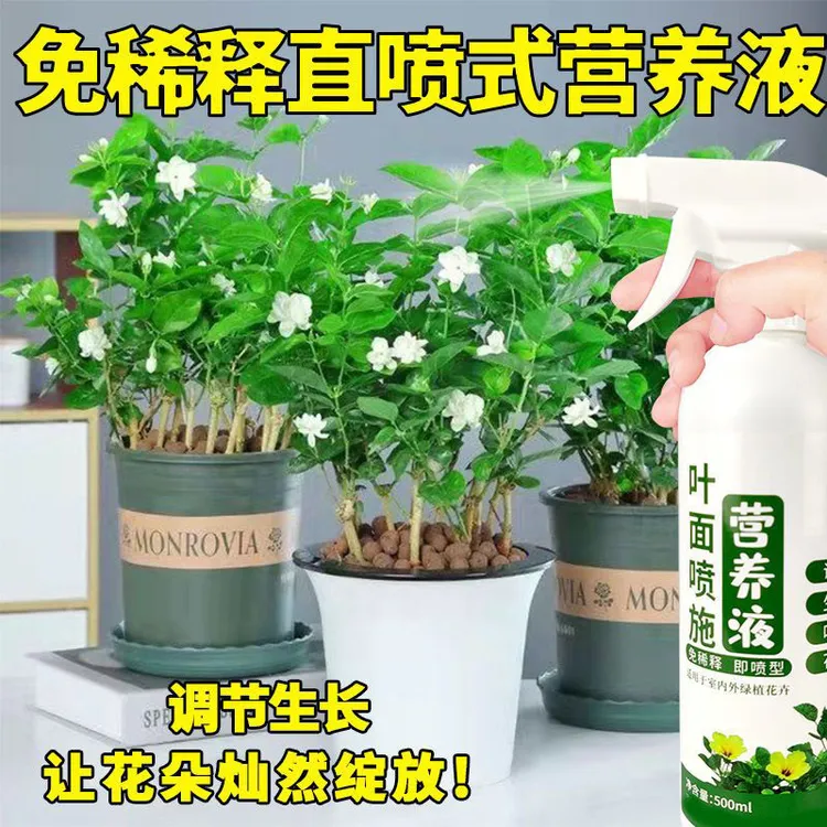 植物营养液营养液通用绿植绿植营养液营养液通用养花免稀释花肥2