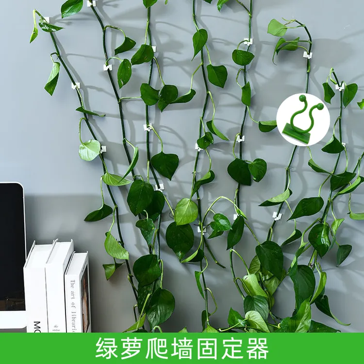 绿萝爬墙固定器免打孔无痕不伤墙植物爬架子挂钩卡扣藤蔓爬墙夹子