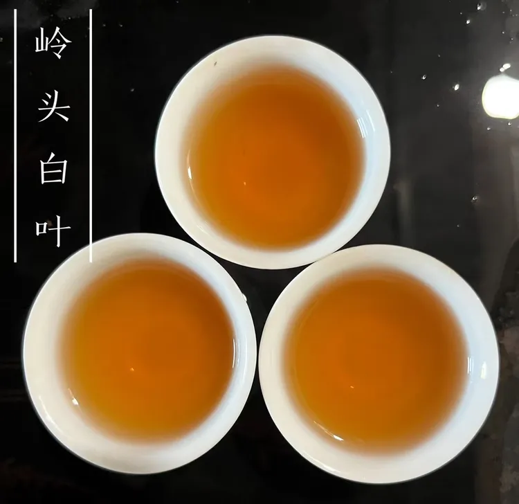 白叶单丛茶蜜兰香