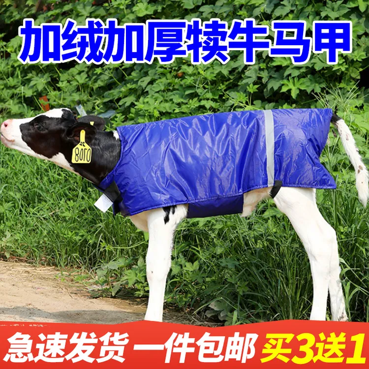 牛犊马甲小牛加厚加大防寒防水保暖衣养牛场小牛犊马甲取暖设备