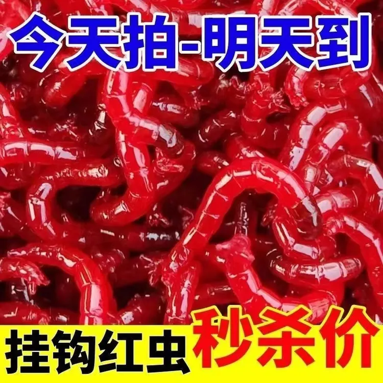 【新店促销】鲜活红虫特大号挂钩红虫活饵活体喂鱼饵料红虫活饵