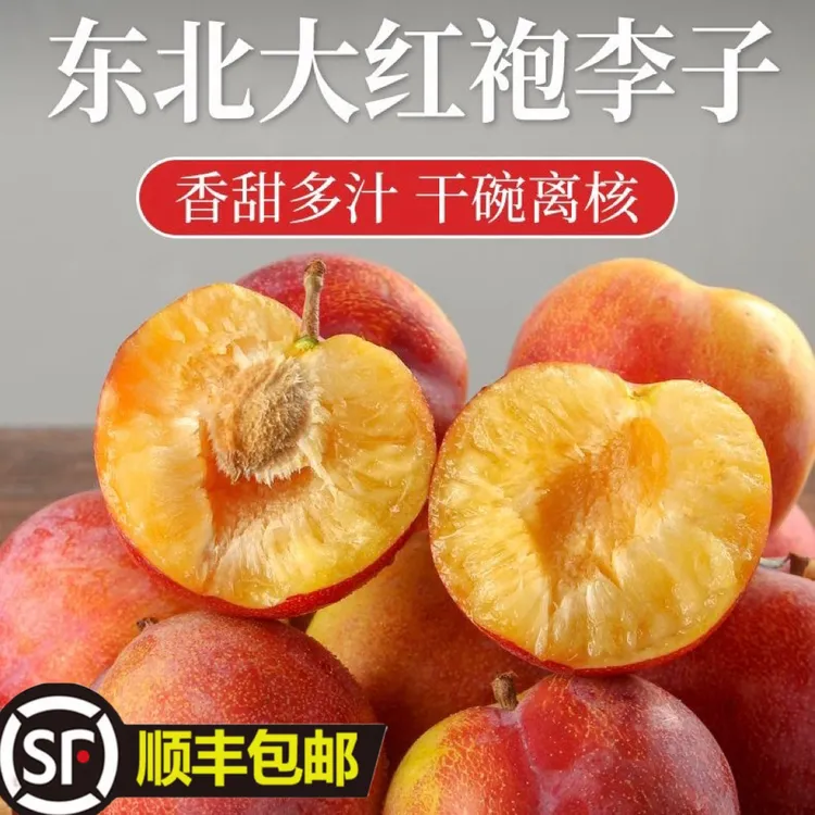 东北特产大李子脱骨李辽宁水果周家大红袍李子孕妇水果顺丰快递