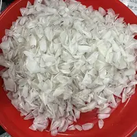深海鰵鱼鳞  250g