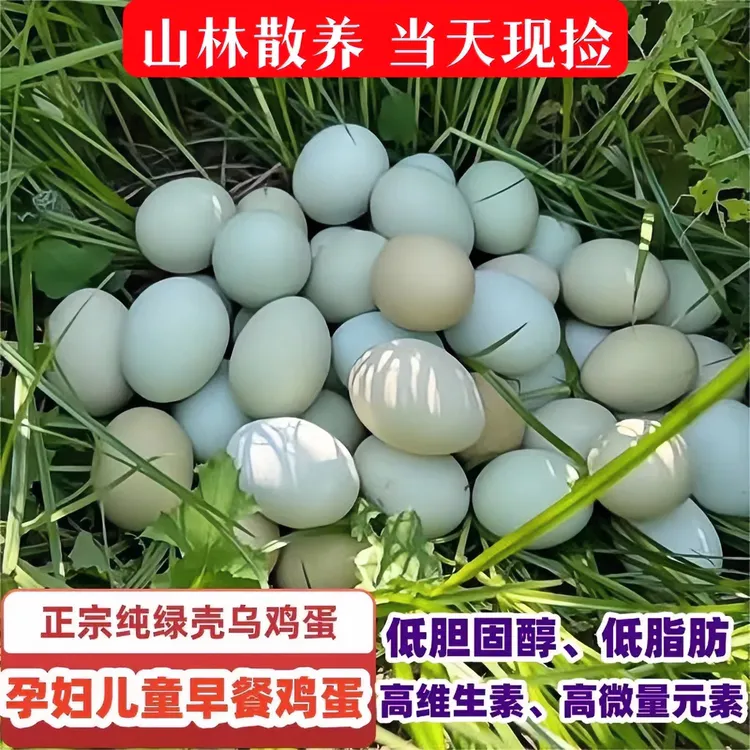 皓源农场五黑鸡 新鲜绿壳土鸡蛋50枚  优质营养优质月子宝宝食用