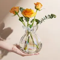 网红福袋花瓶创意摆件客厅简约北欧ins风透明插花花瓶水培鲜花瓶