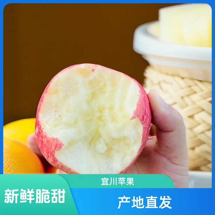 宜川红富士苹果特大果