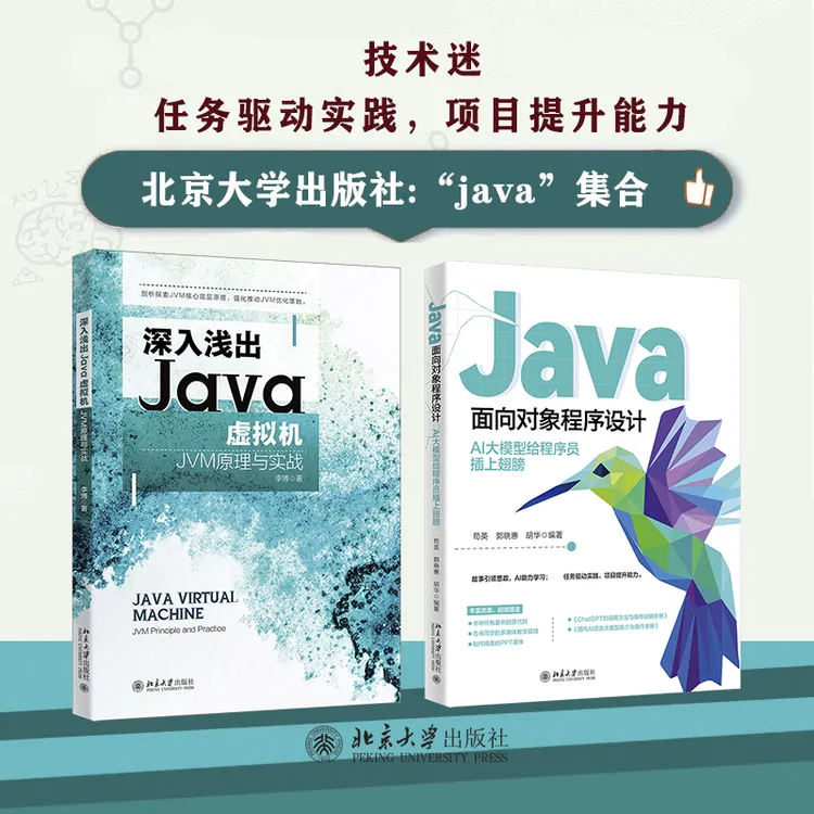 【粉丝专享】Java面向对象程序设计 AI大模型&深入浅出Java虚拟机